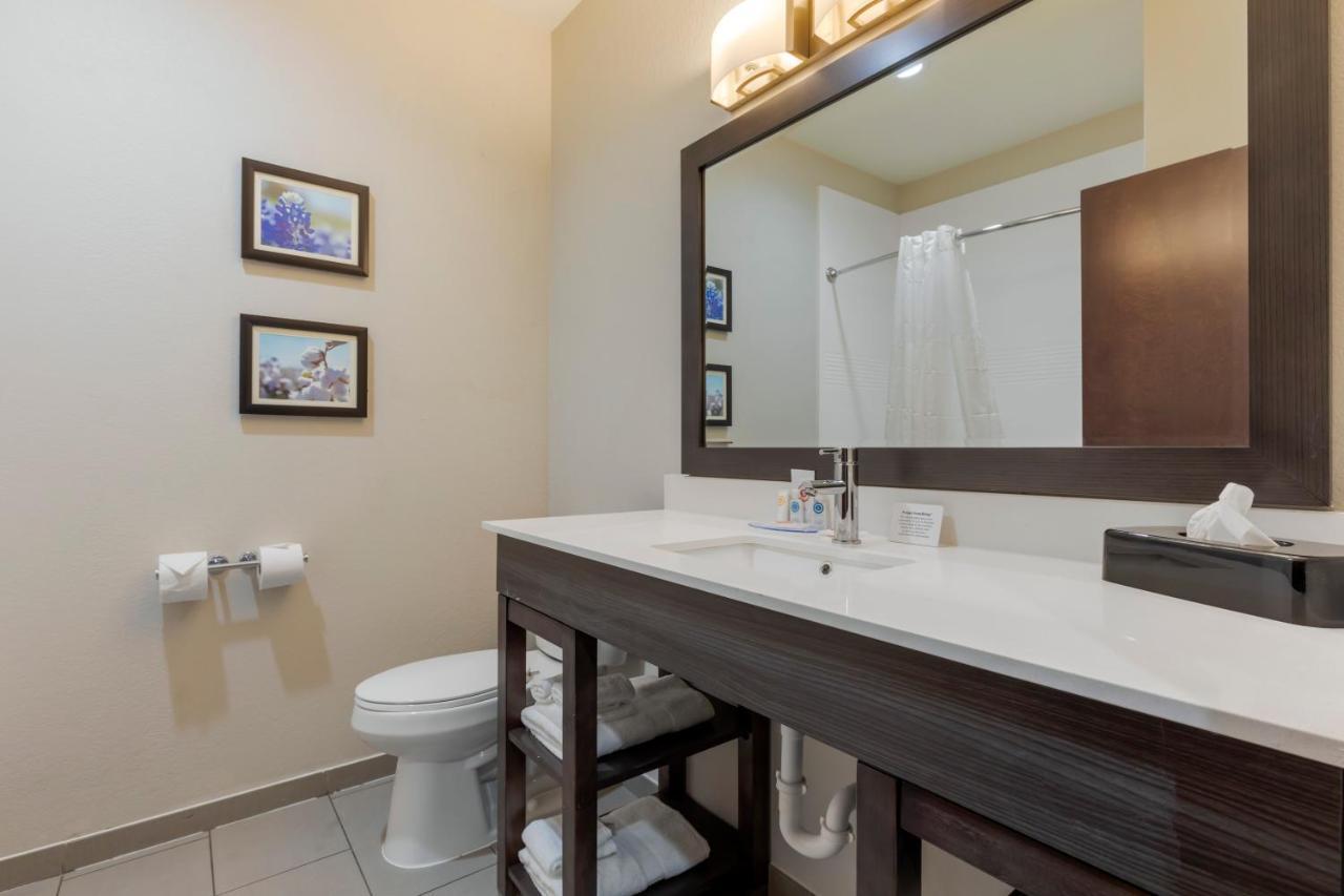 Comfort Inn & Suites Balch Springs - Se Dallas Dış mekan fotoğraf